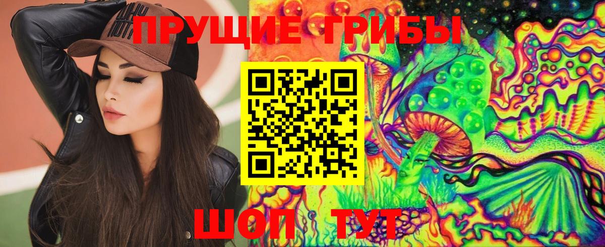 Скопин  Галлюциногенные грибы GOLDEN TEACHER  Вход с VPN 