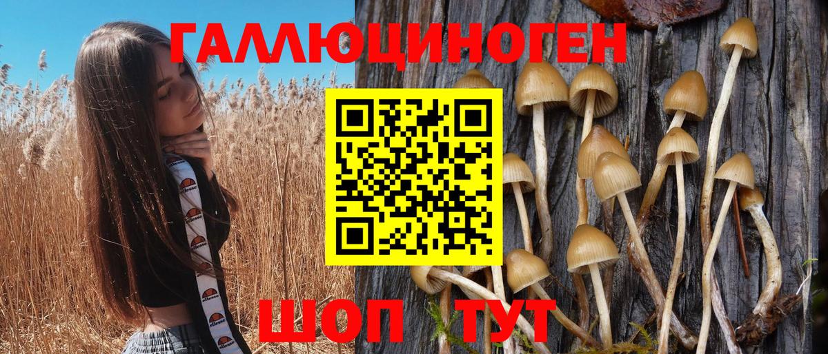 Галлюциногенные грибы MAGIC MUSHROOMS Скопин